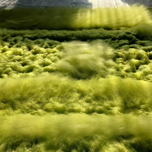 Viviers Studio for Stephanie Bentum